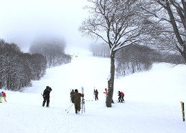 八甲田国際スキー場