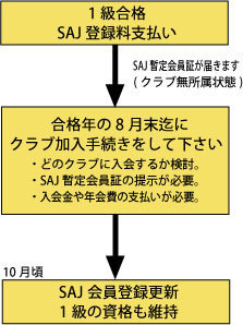 非売品 JSBA バッジテスト １級 2級 合格ピンバッジ 非売品 JSBA バッジテスト 1級 2級 合格ピンバッジ バッジ