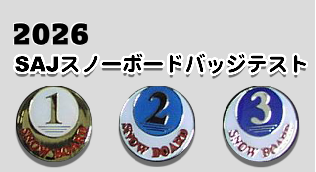 バッジテスト バッジテスト